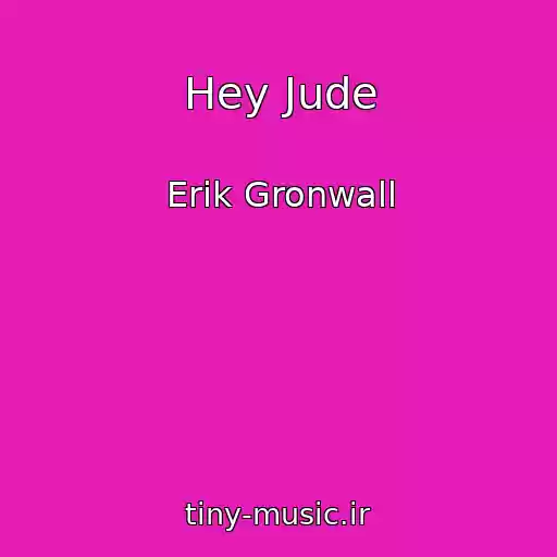 کاور آهنگ Hey Jude از Erik Gronwall