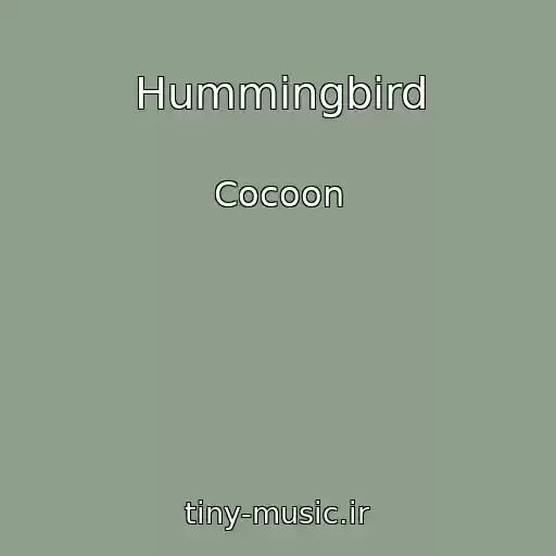 کاور آهنگ Hummingbird از Cocoon
