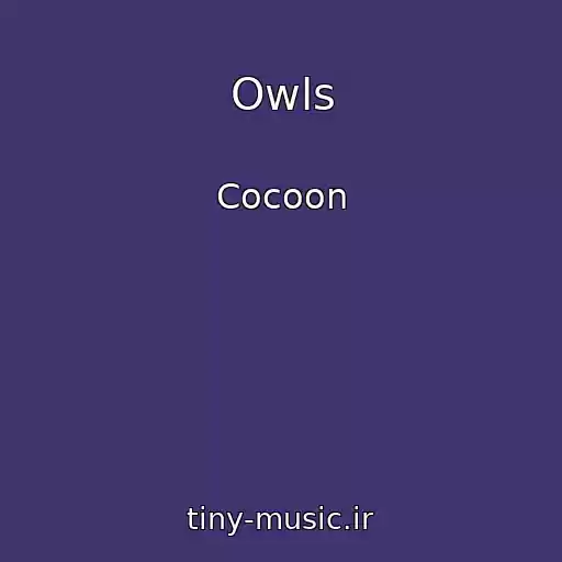 کاور آهنگ Owls از Cocoon