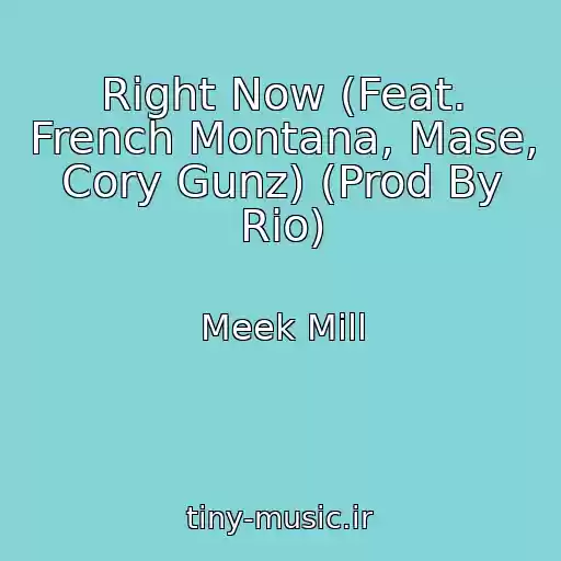 کاور آهنگ Right Now (Feat. French Montana, Mase, Cory Gunz) (Prod By Rio) از Meek Mill