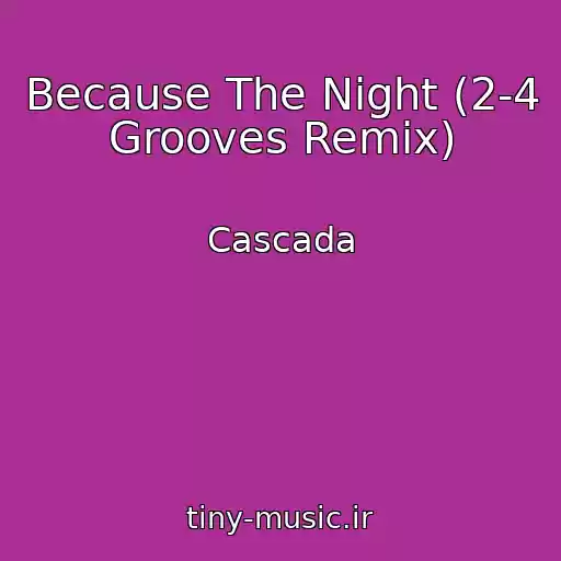 کاور آهنگ Because The Night (2-4 Grooves Remix) از Cascada