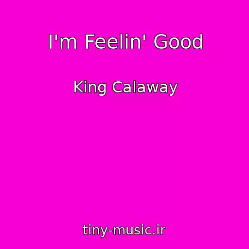 کاور آهنگ I'm Feelin' Good از King Calaway