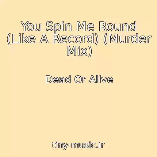 کاور آهنگ You Spin Me Round (Like A Record) (Murder Mix) از Dead Or Alive