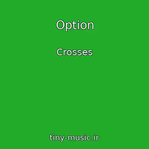 کاور آهنگ Option از Crosses