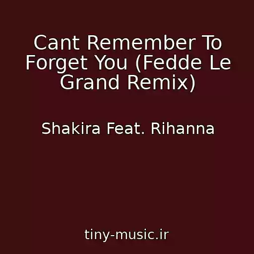 کاور آهنگ Cant Remember To Forget You (Fedde Le Grand Remix) از Shakira Feat. Rihanna