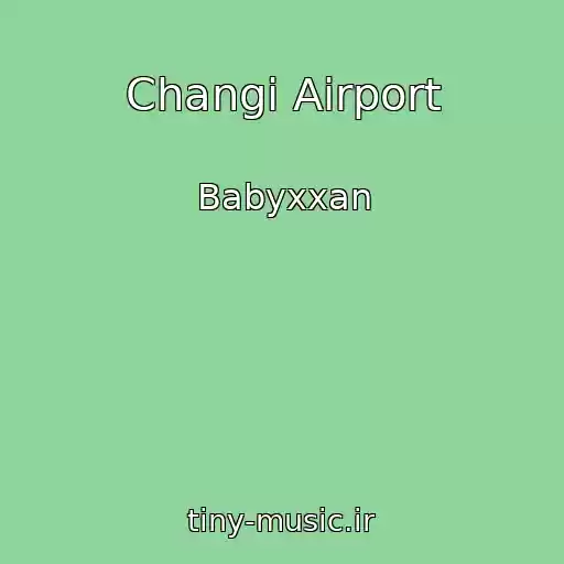کاور آهنگ Changi Airport از Babyxxan