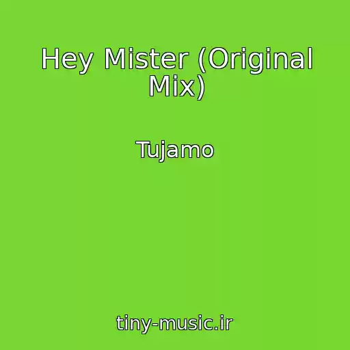 کاور آهنگ Hey Mister (Original Mix) از Tujamo