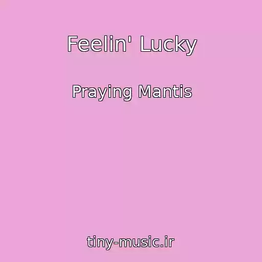 کاور آهنگ Feelin' Lucky از Praying Mantis