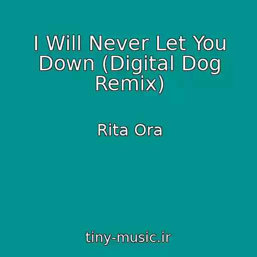 کاور آهنگ I Will Never Let You Down (Digital Dog Remix) از Rita Ora