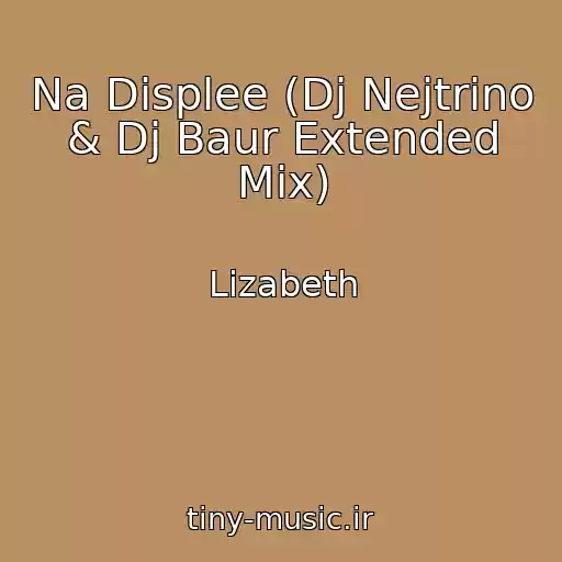 کاور آهنگ Na Displee (Dj Nejtrino & Dj Baur Extended Mix) از Lizabeth