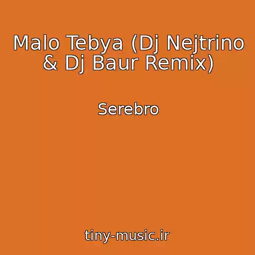 کاور آهنگ Malo Tebya (Dj Nejtrino & Dj Baur Remix) از Serebro