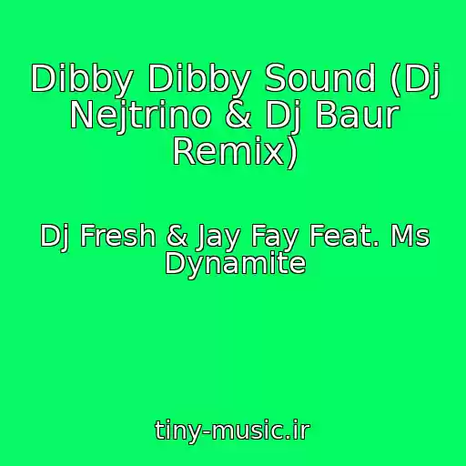 کاور آهنگ Dibby Dibby Sound (Dj Nejtrino & Dj Baur Remix) از Dj Fresh & Jay Fay Feat. Ms Dynamite