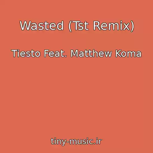 کاور آهنگ Wasted (Tst Remix) از Tiesto Feat. Matthew Koma
