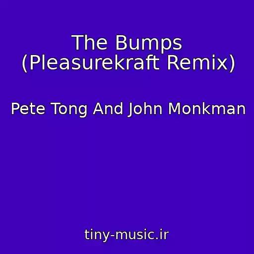 کاور آهنگ The Bumps (Pleasurekraft Remix) از Pete Tong And John Monkman