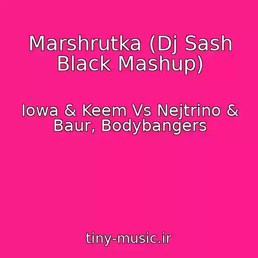 کاور آهنگ Marshrutka (Dj Sash Black Mashup) از Iowa & Keem Vs Nejtrino & Baur, Bodybangers