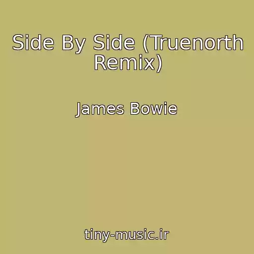 کاور آهنگ Side By Side (Truenorth Remix) از James Bowie
