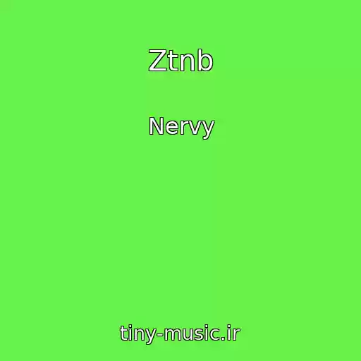 کاور آهنگ Ztnb از Nervy