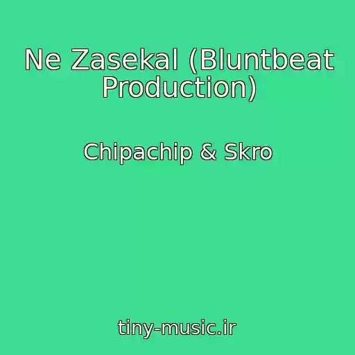 کاور آهنگ Ne Zasekal (Bluntbeat Production) از Chipachip & Skro