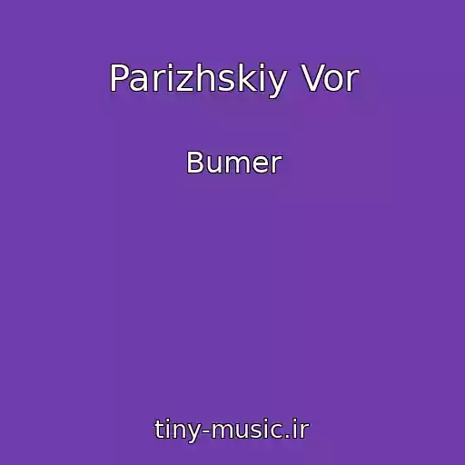 کاور آهنگ Parizhskiy Vor از Bumer