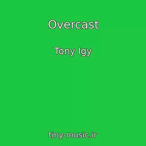 کاور آهنگ Overcast از Tony Igy