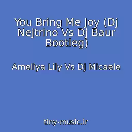 کاور آهنگ You Bring Me Joy (Dj Nejtrino Vs Dj Baur Bootleg) از Ameliya Lily Vs Dj Micaele