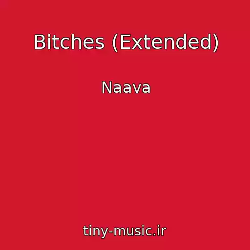 کاور آهنگ Bitches (Extended) از Naava