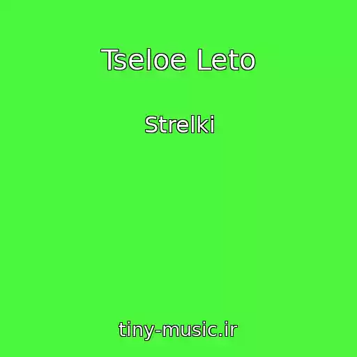 کاور آهنگ Tseloe Leto از Strelki