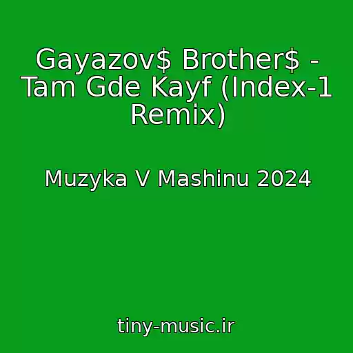 کاور آهنگ Gayazov$ Brother$ - Tam Gde Kayf (Index-1 Remix) از Muzyka V Mashinu 2024