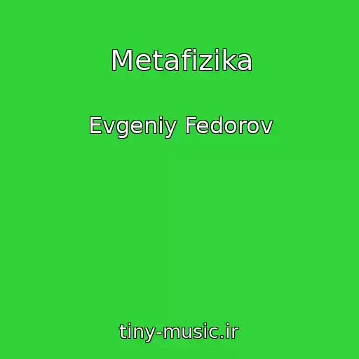 کاور آهنگ Metafizika از Evgeniy Fedorov
