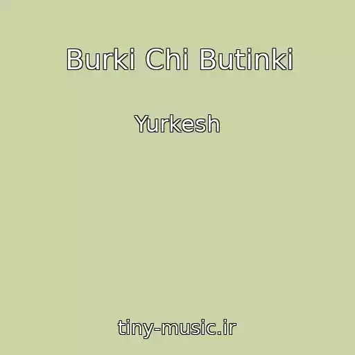 کاور آهنگ Burki Chi Butіnki از Yurkesh