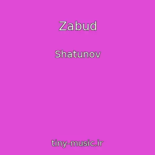 کاور آهنگ Zabud از Shatunov