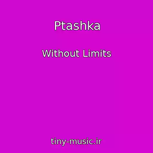 کاور آهنگ Ptashka از Without Limits