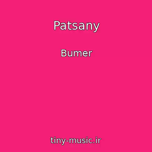 کاور آهنگ Patsany از Bumer