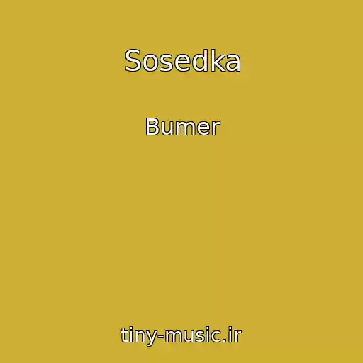 کاور آهنگ Sosedka از Bumer