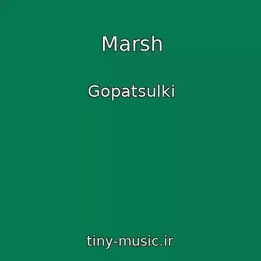 کاور آهنگ Marsh از Gopatsulki