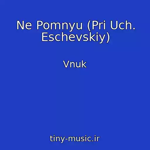 کاور آهنگ Ne Pomnyu (Pri Uch. Eschevskiy) از Vnuk