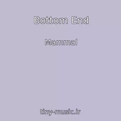 کاور آهنگ Bottom End از Mammal