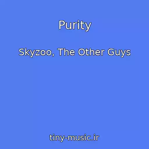کاور آهنگ Purity از Skyzoo, The Other Guys