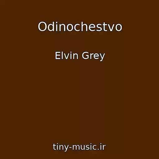 کاور آهنگ Odinochestvo از Elvin Grey