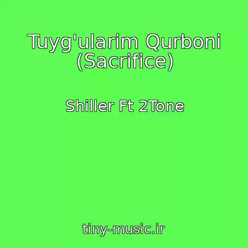 کاور آهنگ Tuyg'ularim Qurboni (Sacrifice) از Shiller Ft 2Tone