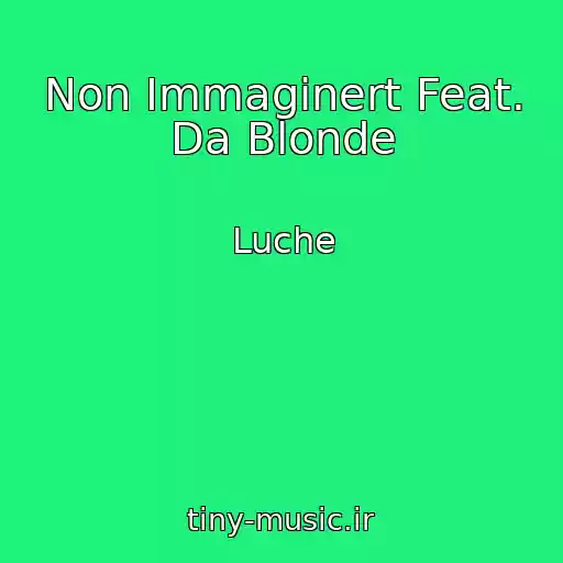 کاور آهنگ Non Immaginert Feat. Da Blonde از Luche