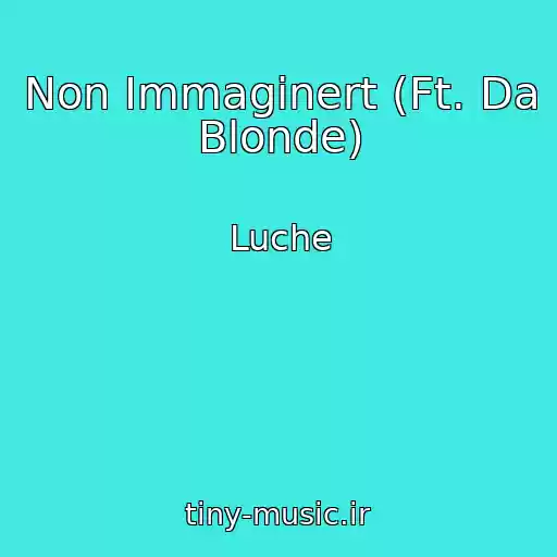 کاور آهنگ Non Immaginert (Ft. Da Blonde) از Luche