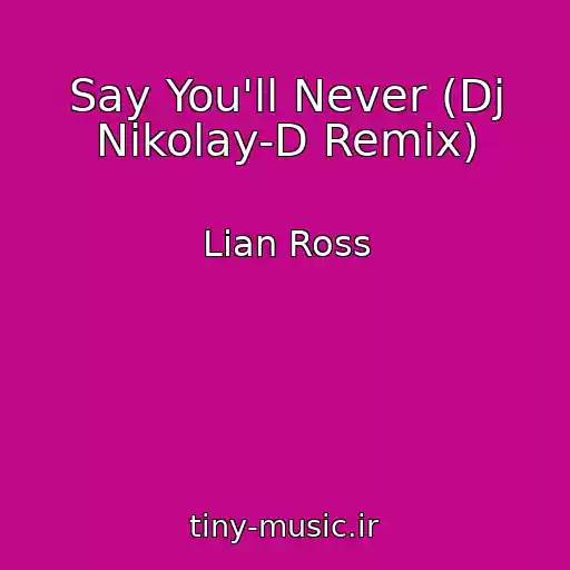 کاور آهنگ Say You'll Never (Dj Nikolay-D Remix) از Lian Ross