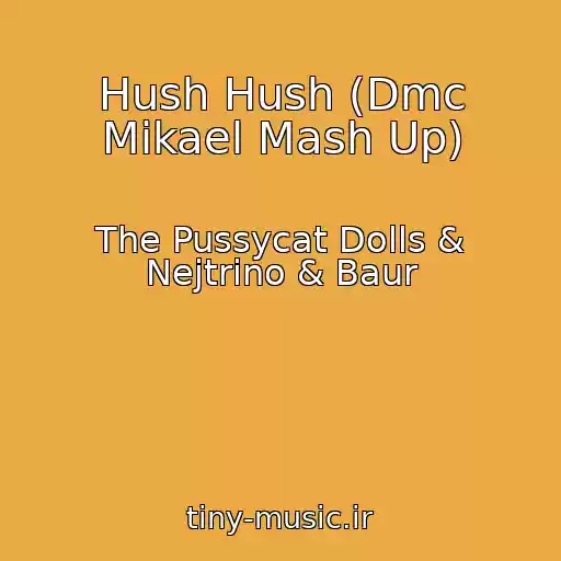 کاور آهنگ Hush Hush (Dmc Mikael Mash Up) از The Pussycat Dolls & Nejtrino & Baur