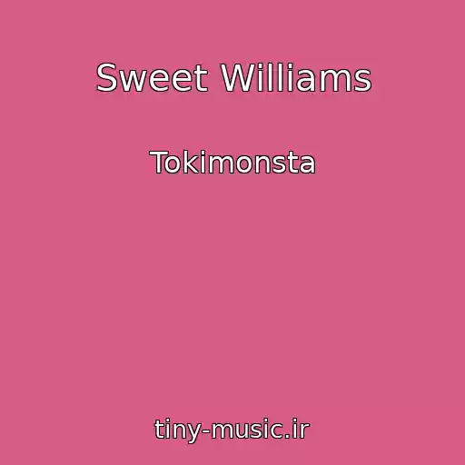 کاور آهنگ Sweet Williams از Tokimonsta