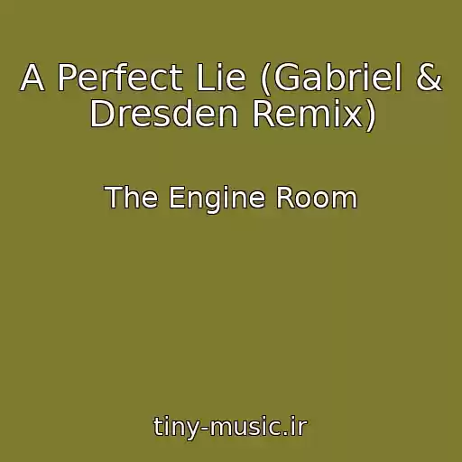 کاور آهنگ A Perfect Lie (Gabriel & Dresden Remix) از The Engine Room