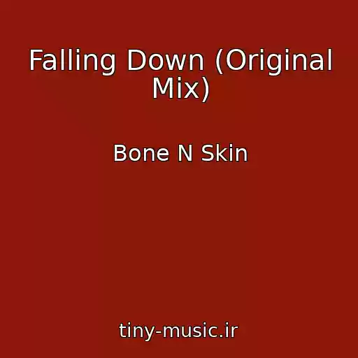 کاور آهنگ Falling Down (Original Mix) از Bone N Skin
