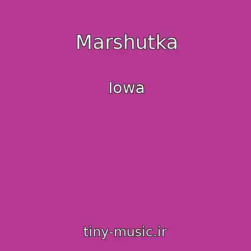 کاور آهنگ Marshutka از Iowa