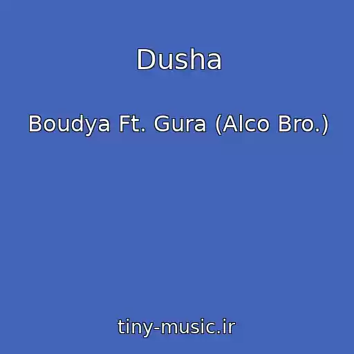 کاور آهنگ Dusha از Boudya Ft. Gura (Alco Bro.)