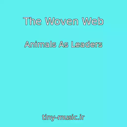 کاور آهنگ The Woven Web از Animals As Leaders